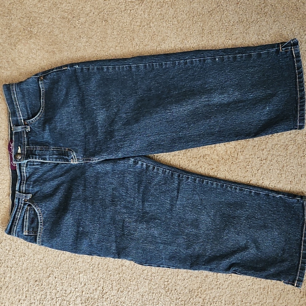Gloria Vanderbilt Amanda Capri  Jeans Womens 8 Blue Denim Vintage 2009
